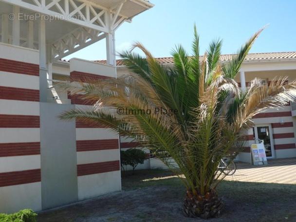 Soulac-Sur-Mer Avec Piscine Soulac-sur-Mer Exterior foto